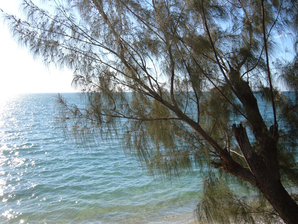 bungalow-a-louer à mahajanga