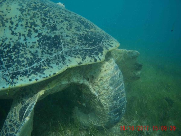 erik-excursions-peche à nosy-be