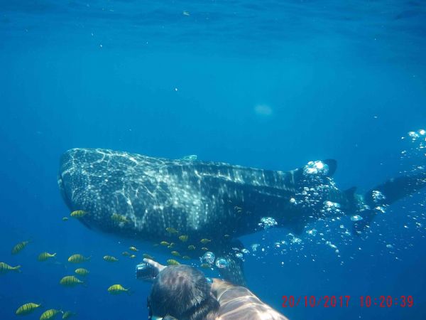 erik-excursions-peche à nosy-be