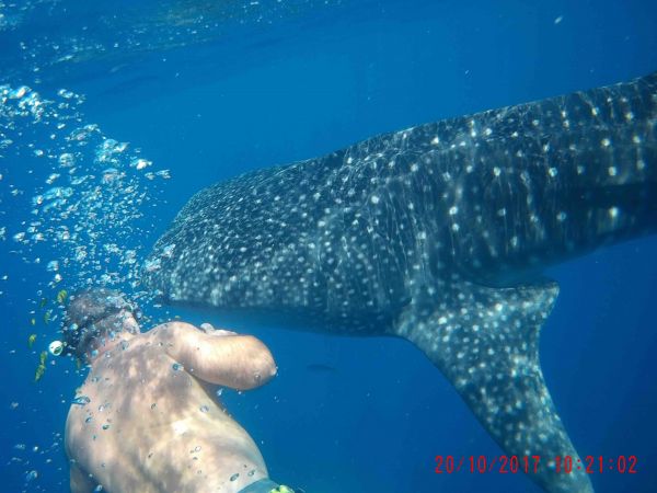 erik-excursions-peche à nosy-be