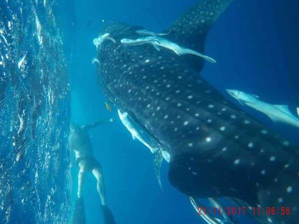 erik-excursions-peche à nosy-be