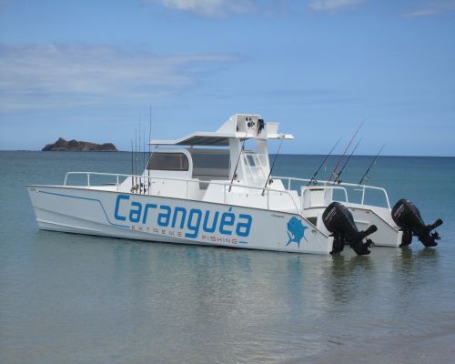caranguea à nosy-be