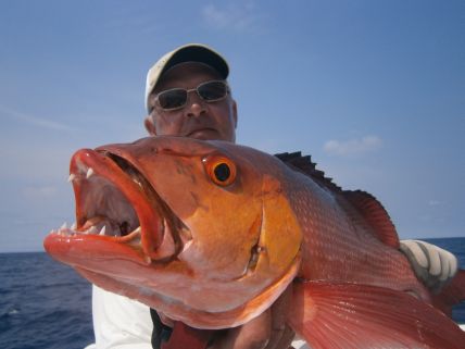 caranguea à nosy-be