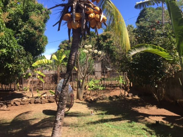 Chambre-a-louer à nosy-be