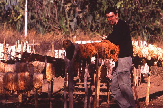 tapis-malgache à tulear