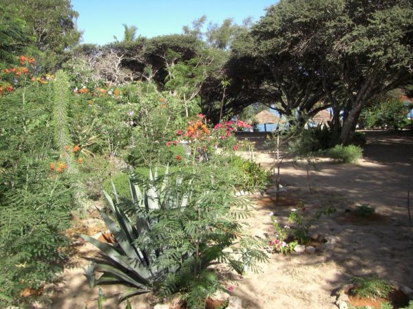 LE-JARDIN-DE-LISLE à tulear