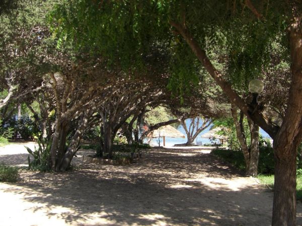 LE-JARDIN-DE-LISLE à tulear