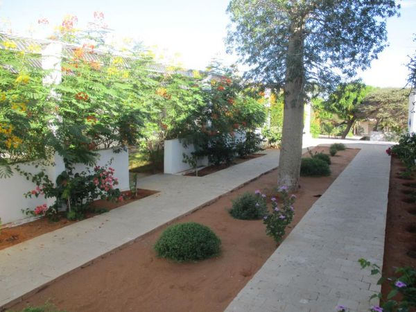 LE-JARDIN-DE-LISLE à tulear