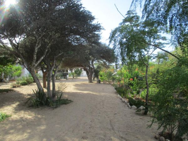 LE-JARDIN-DE-LISLE à tulear