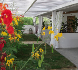 LE-JARDIN-DE-LISLE à tulear