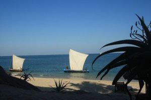 ECO-LODGE-LALANDAKA à tulear
