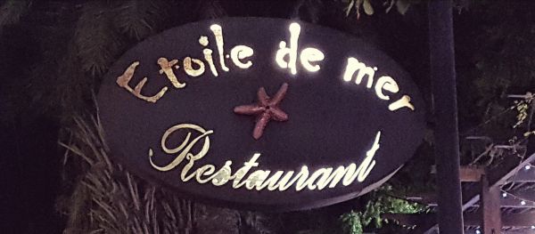 etoile-de-mer à tulear